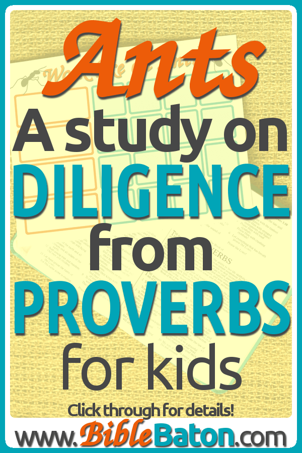 Ants: A Study from Proverbs for Kids on Diligence