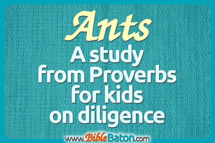 Ants: A Study for Kids from Proverbs on Diligence