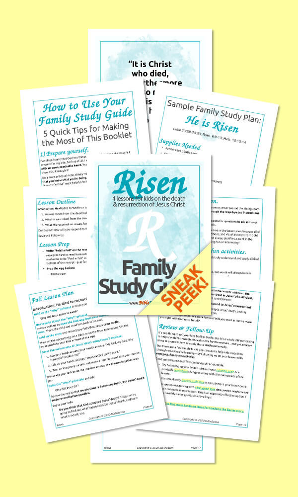 Risen Family Guide Preview